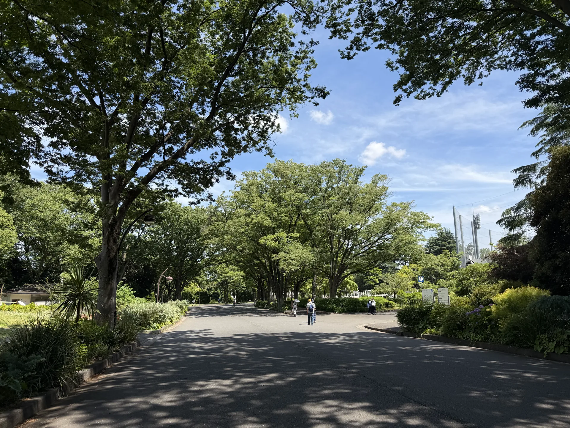 本店移転のお知らせ
